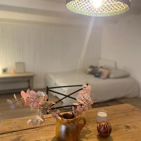 3 - Centre Rue Pietonne - Manon Apartment Hyeres
